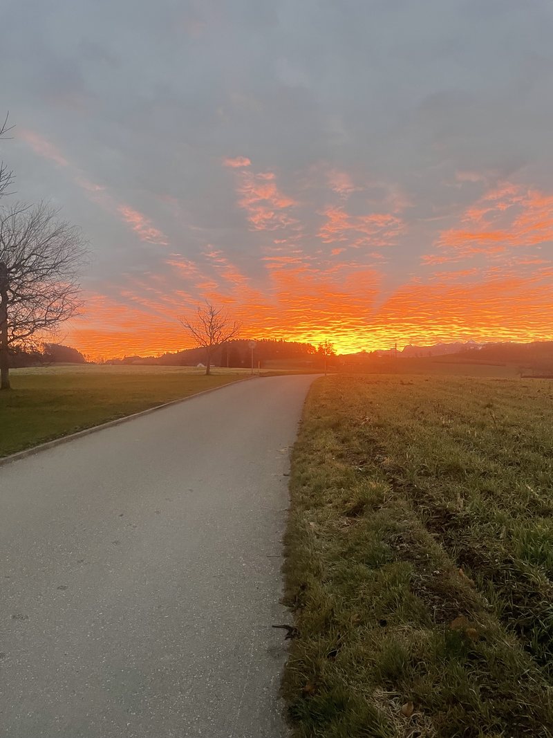 Sonnenuntergang über einem Feldweg